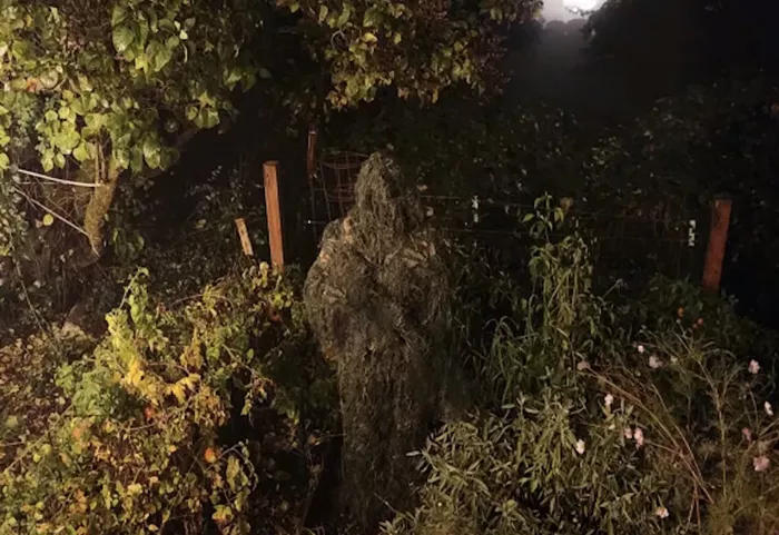 Bumbershoot Pick: Fleetwood Snack